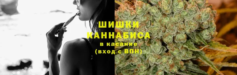 Бошки марихуана Amnesia  что такое   нарко площадка как зайти  Игарка 